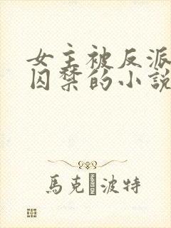 女主被反派强迫囚禁的小说