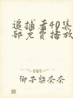 追捕者40集全部免费播放