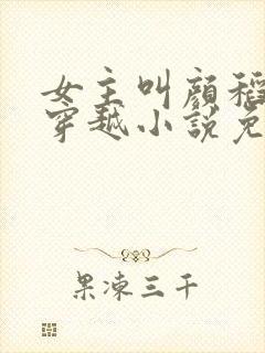 女主叫颜稻花的穿越小说免费阅读