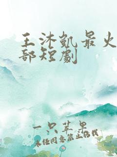 王沐凯最火的5部短剧