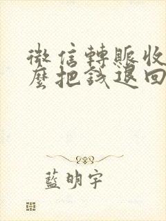 微信转账收了怎么把钱退回