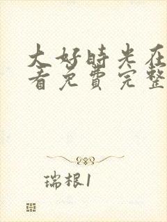 大好时光在线观看免费完整版高清