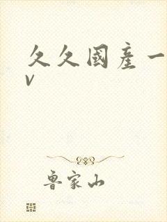 久久国产一级av