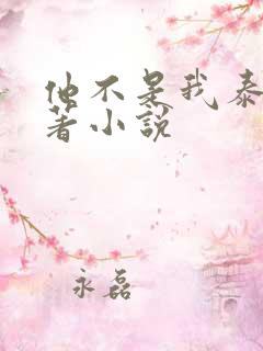 他不是我泰剧原著小说