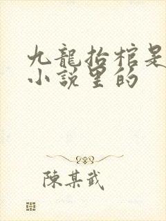 九龙抬棺是哪个小说里的