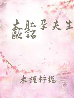 大肚孕夫生生生欧铭