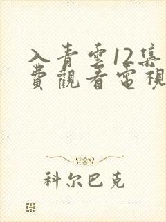 入青云12集免费观看电视剧