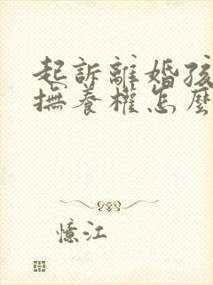 起诉离婚孩子的抚养权怎么判定