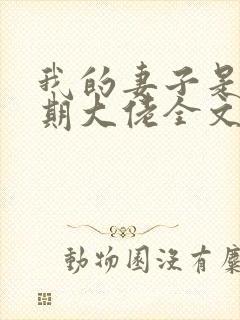 我的妻子是大乘期大佬全文下载