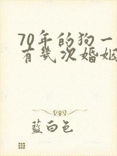 70年的狗一生有几次婚姻