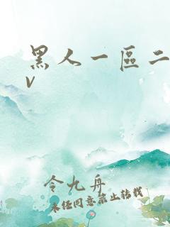 黑人一区二区av