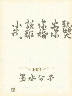 小说你出轨在先我离婚你哭什么