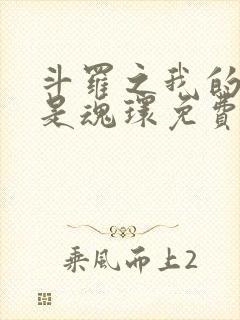 斗罗之我的武魂是魂环免费全文阅读