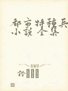 都市特种兵杨洛小说 全集