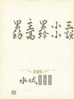 男主男小三上位的高干小说