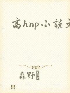 高hnp小说文