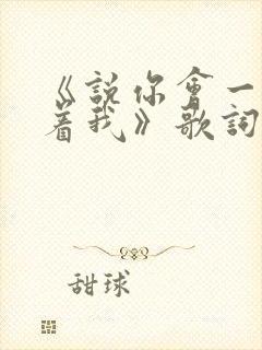 《说你会一直爱着我》歌词