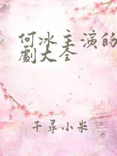 何冰主演的电视剧大全