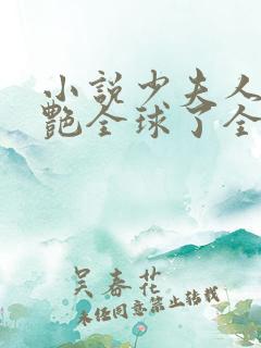 小说少夫人她惊艳全球了全文