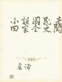 小说国民老公带回家全文阅读