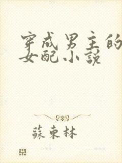 穿成男主的继妹女配小说