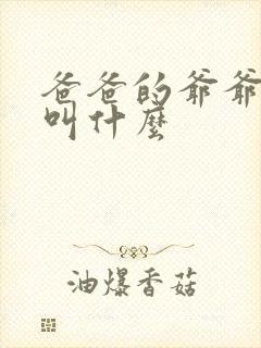 爸爸的爷爷应该叫什么