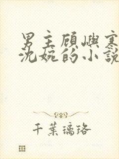 男主顾屿寒女主沈婉的小说