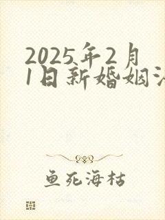 2025年2月1日新婚姻法财产分割