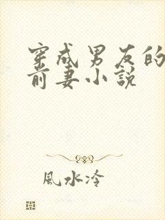 穿成男友的炮灰前妻小说