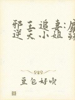 邪王追妻:废材逆天小姐 苏小暖