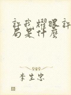 许我耀眼许妍结局是什么