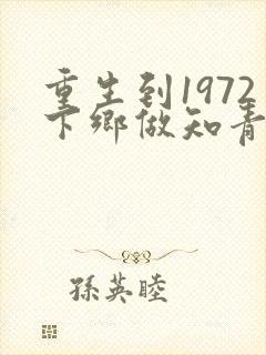重生到1972下乡做知青小说