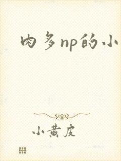 肉多np的小说