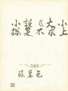 小说《大小姐她总是不求上进》