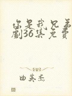 你是我兄弟电视剧36集免费观看