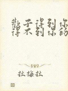 欢子得到你的人得不到你的心歌词