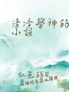 清冷学神的沦陷小说