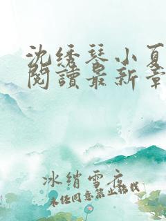 沈绣琴小夏全文阅读最新章节