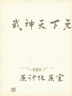 武神天下免费
