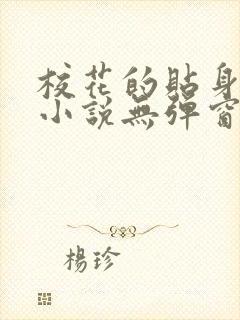 校花的贴身高手小说无弹窗