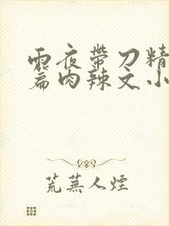 雨夜带刀精品长篇肉辣文小说