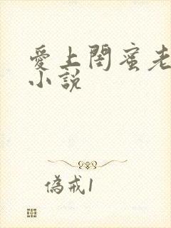 爱上闺蜜老公的小说