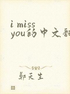 i miss you的中文翻译