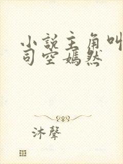 小说主角叫叶凡司空嫣然