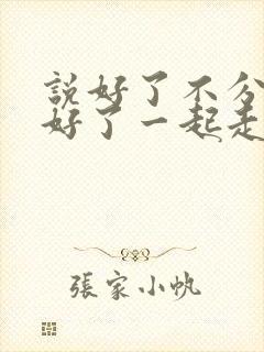 说好了不分手说好了一起走是哪首歌