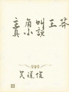 主角叫王莽的修真小说