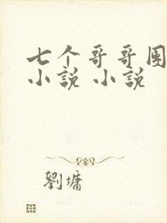 七个哥哥团宠我小说 小说