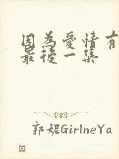 因为爱情有多美最后一集