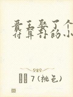 晋王娶了个会画符算卦的小王妃小说