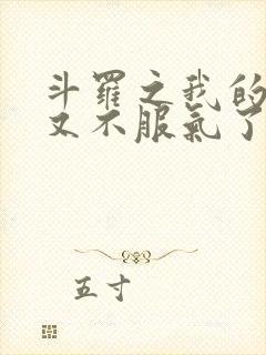 斗罗之我的系统又不服气了下载txt